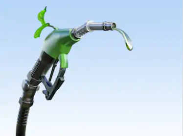 Biodiesel Fuel Market