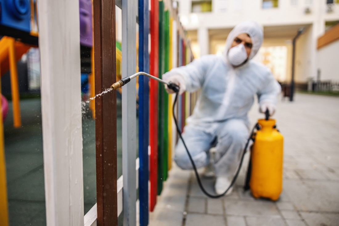 Most Effective Pest Control Solutions in Charlotte