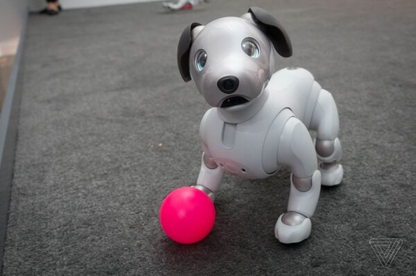 Skyrocketing Trends Robotic Pet Dogs Market 2019 Massive Growth, Advancement, Opportunities, Demand & Forecast To 2026 |Key Players: Hasbro, Consequential Robotics, MGA Entertainment, Tekno Robotics and More