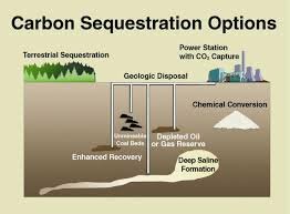 carbon Capture and Sequestration
