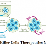 Natural Killer Cells Therapeutics Market