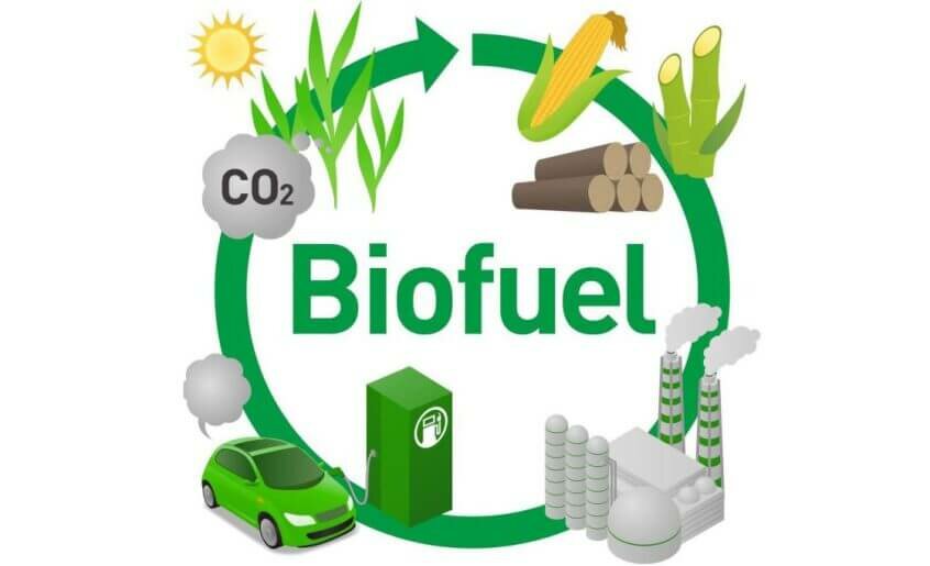 Bio-fuel