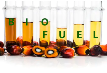 Biofuels and Biodiesel Market
