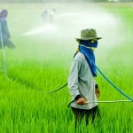Crop Protection (Agrochemicals) Market