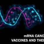 MRNA Cancer Vaccines and Therapeutics