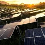 Organic Solar Cell Market