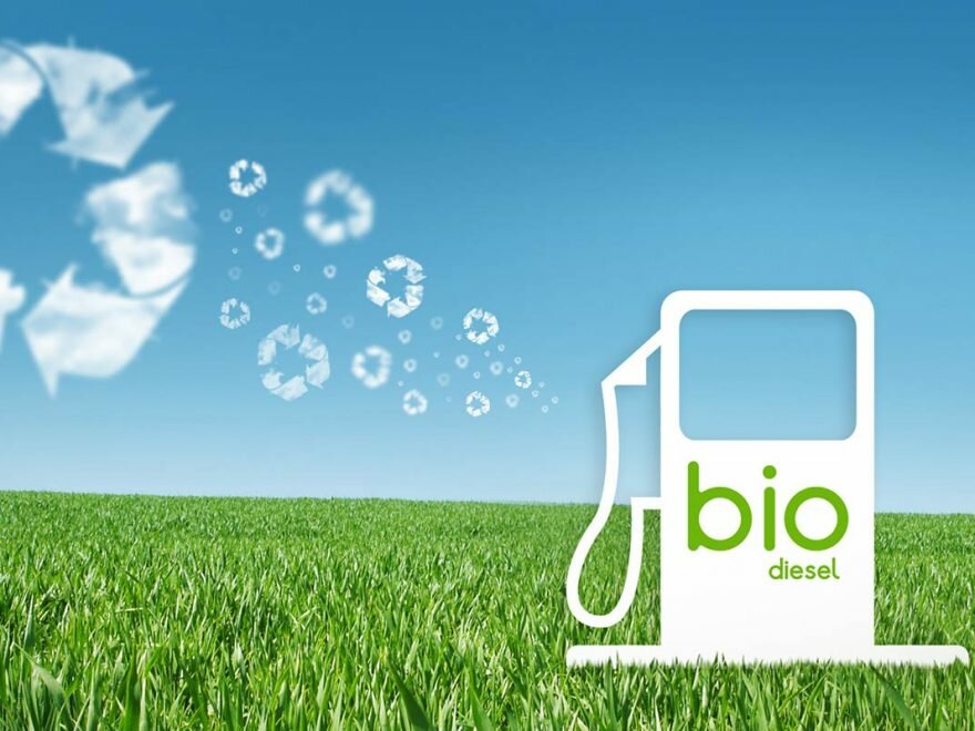 Pure biodiesel