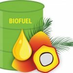 Bio-fuel Market