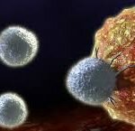 Cancer Immunology and Oncolytic Virology Market