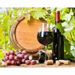 Winery Management Software Market