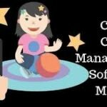 Childcare Management Software Market