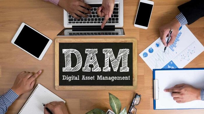 Digital Asset Management (DAM) Software
