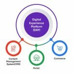 Digital-Experience-Platform-DXP-Market