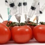Genetically-Modified-Food-Safety-Testing-Market-1024x642